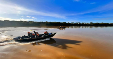 FANB ejecuta acciones para combatir minería ilegal en Guayana