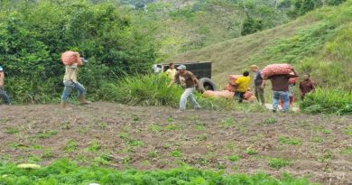 Atención al productor impulsa el desarrollo de labores agrícolas en Mérida
