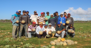 Productores desarrollan el Plan de Desarrollo Económico Integral Comunitario en Falcón