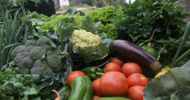Benefician a más de mil familias con Feria del Campo Soberano en Petare