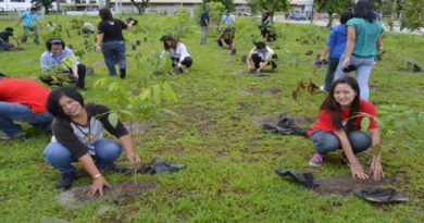 Filipinas impulsa programa ecológico nacional