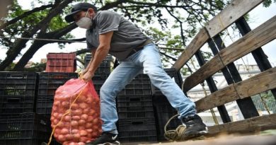 Plan Pueblo a Pueblo impulsa producción en 10 estados del pais