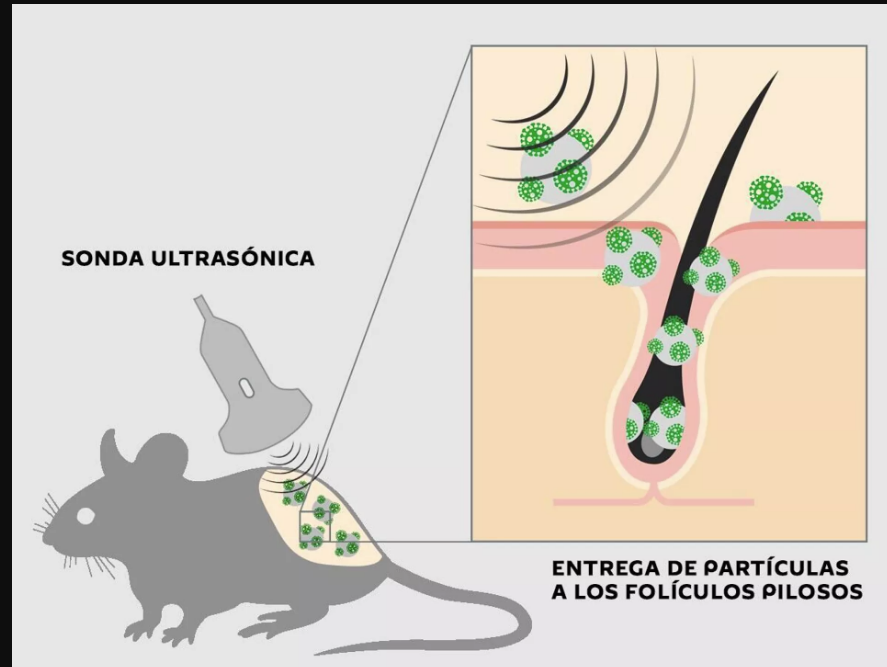 Científicos rusos prueban novedosa forma de vacunar sin inyecciones