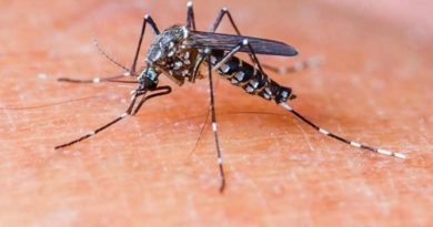 OMS certifica a Belice como país libre de malaria