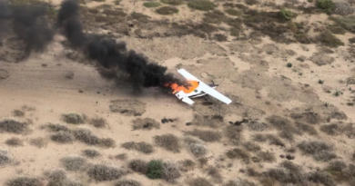 FANB neutraliza más de 30 aeronaves en lo que va de año