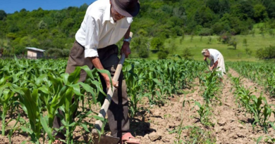 Iribarren muestra logros en materia agraria