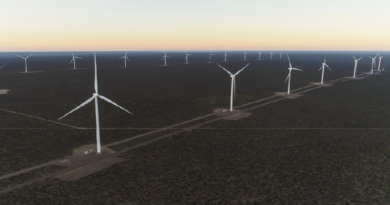 Tecnología de China impulsa transición energética de Argentina