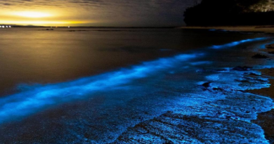Encuentran barro bioluminiscente en Australia