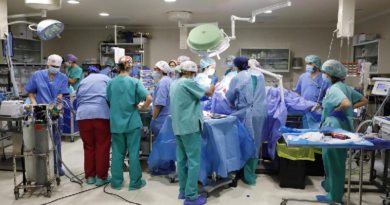 Desarrollan prototipo de placenta para aumentar supervivencia de ovinos prematuros