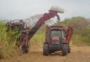 Elevan producción de azúcar en Portuguesa