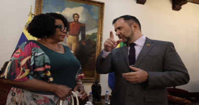 Estado venezolano explora nuevas oportunidades de cooperación con Sudáfrica