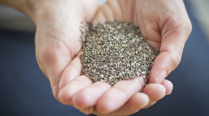 ¿Comer semillas de Chía? Estos son sus beneficios