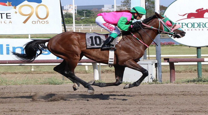 Carrero con gran oportunidad este domingo en el Hipódromo La Rinconada