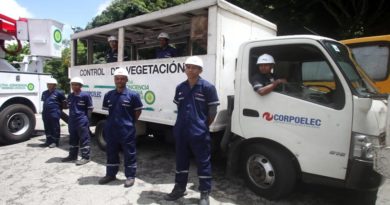 Efectúan control de vegetación para evitar afectaciones en servicio eléctrico del país