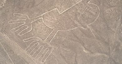 IA permite descubrir nuevas figuras en las Líneas de Nazca