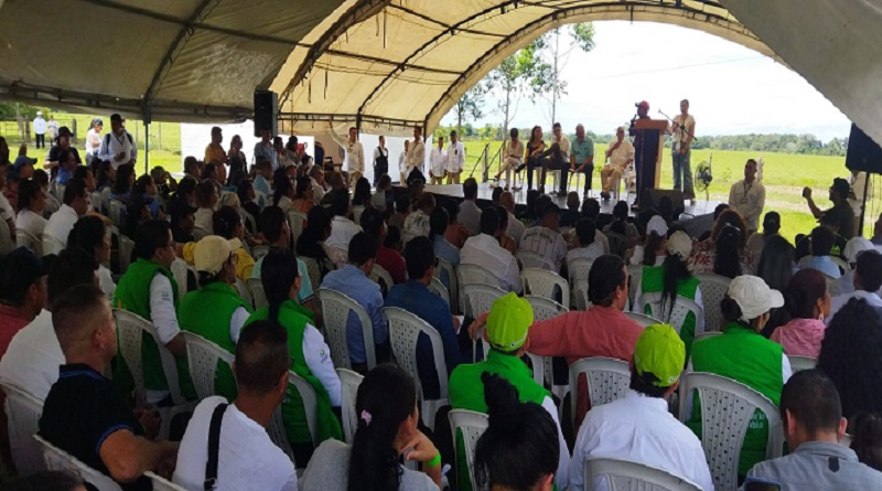 Más de 200 familias firmantes de paz reciben predios en Colombia