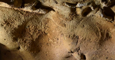 Hallan marcas neandertales más antiguas conocidas en Europa