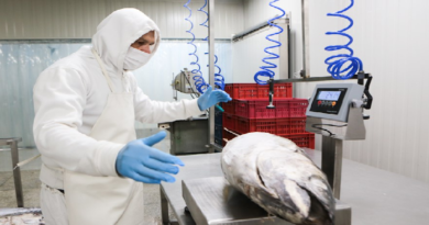 Pescadores del estado Miranda contribuyen en consolidación de seguridad agroalimentaria