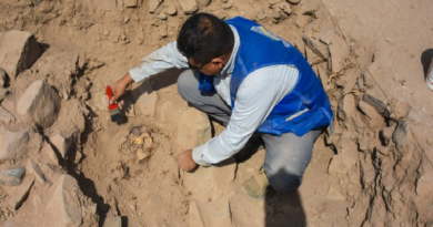 Descubren en Perú una momia de hace 3 mil años de antigüedad