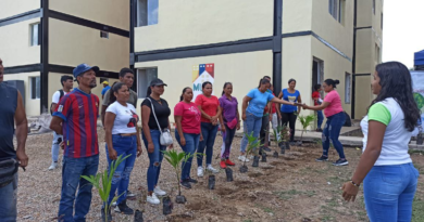Celebran décimo aniversario de Misión Árbol con jornada de reforestación en Aragua