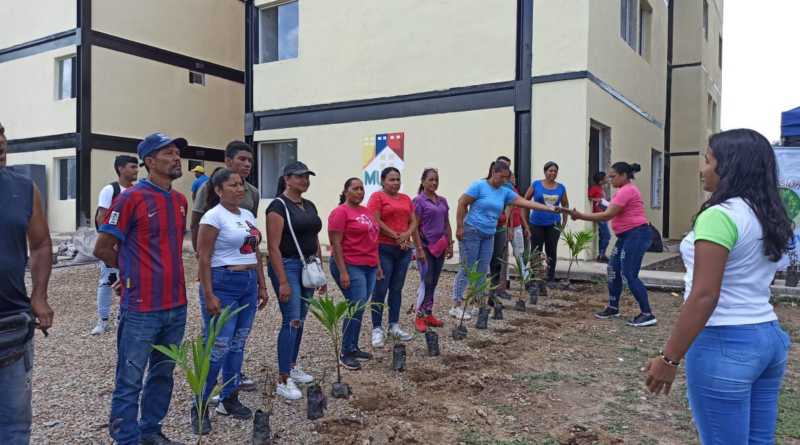 Celebran décimo aniversario de Misión Árbol con jornada de reforestación en Aragua