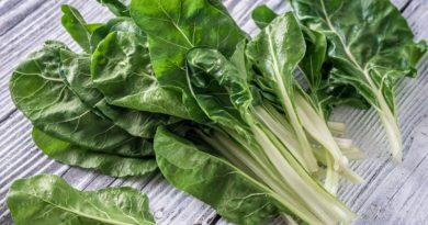Conoce los beneficios del té de acelga para el cuerpo