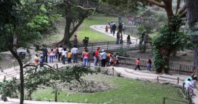 Caminata ecológica conmemoró 17 años de la Misión Árbol