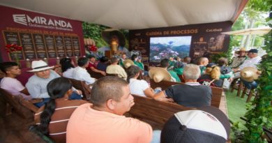 Proyectan documental «Ruta del Café Mirandino» en el Eicev 2023