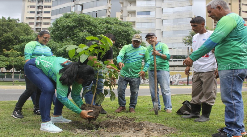 Alcaldía de Girardot trabaja en la arborización y embellecimiento de Maracay