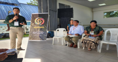 Delegación venezolana presenta resulados en Reunión Técnico-Cientifica sobre Amazonía