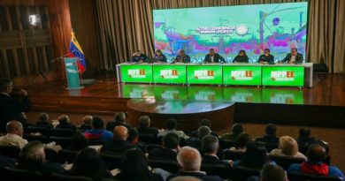 Evalúan proyectos que se vienen desarrollando en el Sistema Eléctrico Nacional