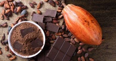 Cinco beneficios para la salud de consumir cacao