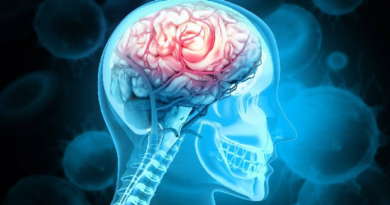 ¿Cómo afecta el chocolate la salud del cerebro?