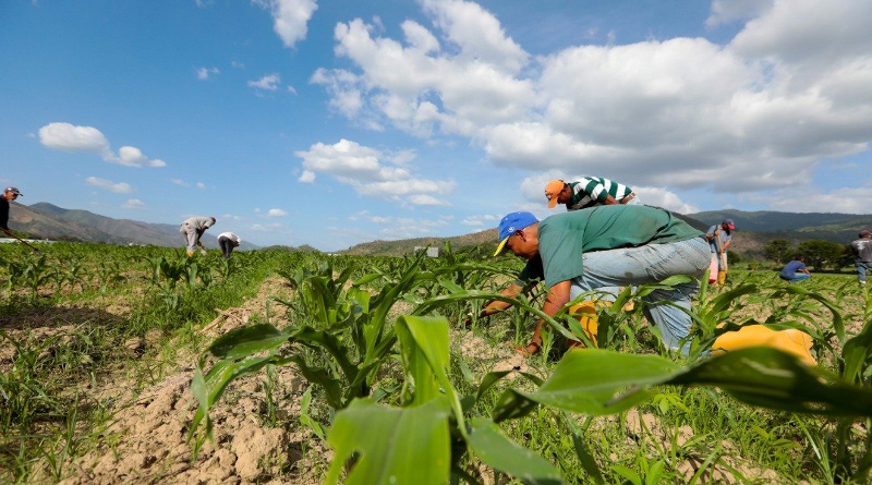 Productores y conuqueros del estado Bolívar reciben títulos de propiedad