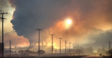 Crisis climática puede agravar enfermedades infecciosas
