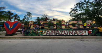Venezuela participa en Cumbre para el rescate de la Amazonía
