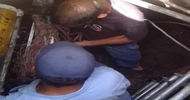 Avanzan labores para restituir servicio de teléfono e internet en La Guaira