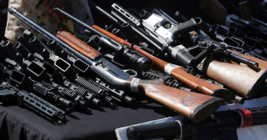 México insta a Washington mayor acción contra tráfico de armas