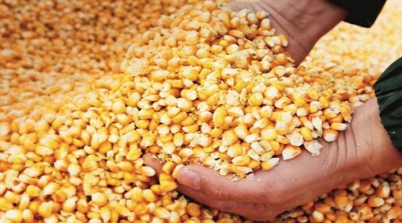 Productores se capacitan en técnicas agrícolas en Miranda