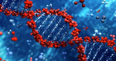 Conozca como los genes influyen en los alimentos ingeridos