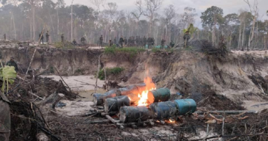 Desalojan 6.934 mineros ilegales de la Amazonía hasta la fecha