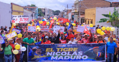 Pueblo patriota demuestra alegría y pasión por la patria en movilizaciones