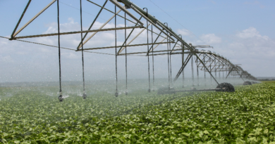 Favorecen a pequeños productores de Monagas con programas de producción agrícola