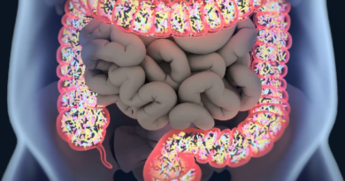 Conoce la importancia del consumo de prebióticos para la salud intestinal