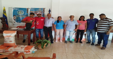 Productores de Amazonas reciben 350 kilos de semillas certificadas