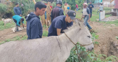 Trasladan al zoológico de Caricuao ejemplares rescatados en El Valle