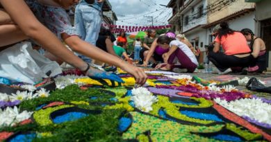 Araira tendió sus alfombras de flores y frutos a la virgen del Carmen
