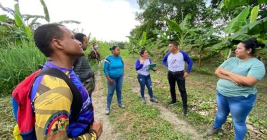 CLAP Productivos se fortalecen en Yaracuy
