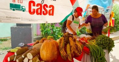 Feria del Campo Soberano abastece a 706 familias en Apure