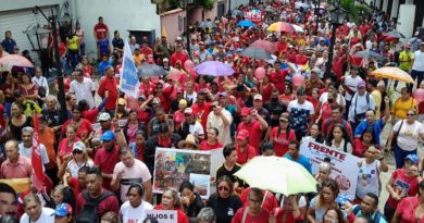 Jefe de Estado agradece grandes movilizaciones populares en defensa de Venezuela